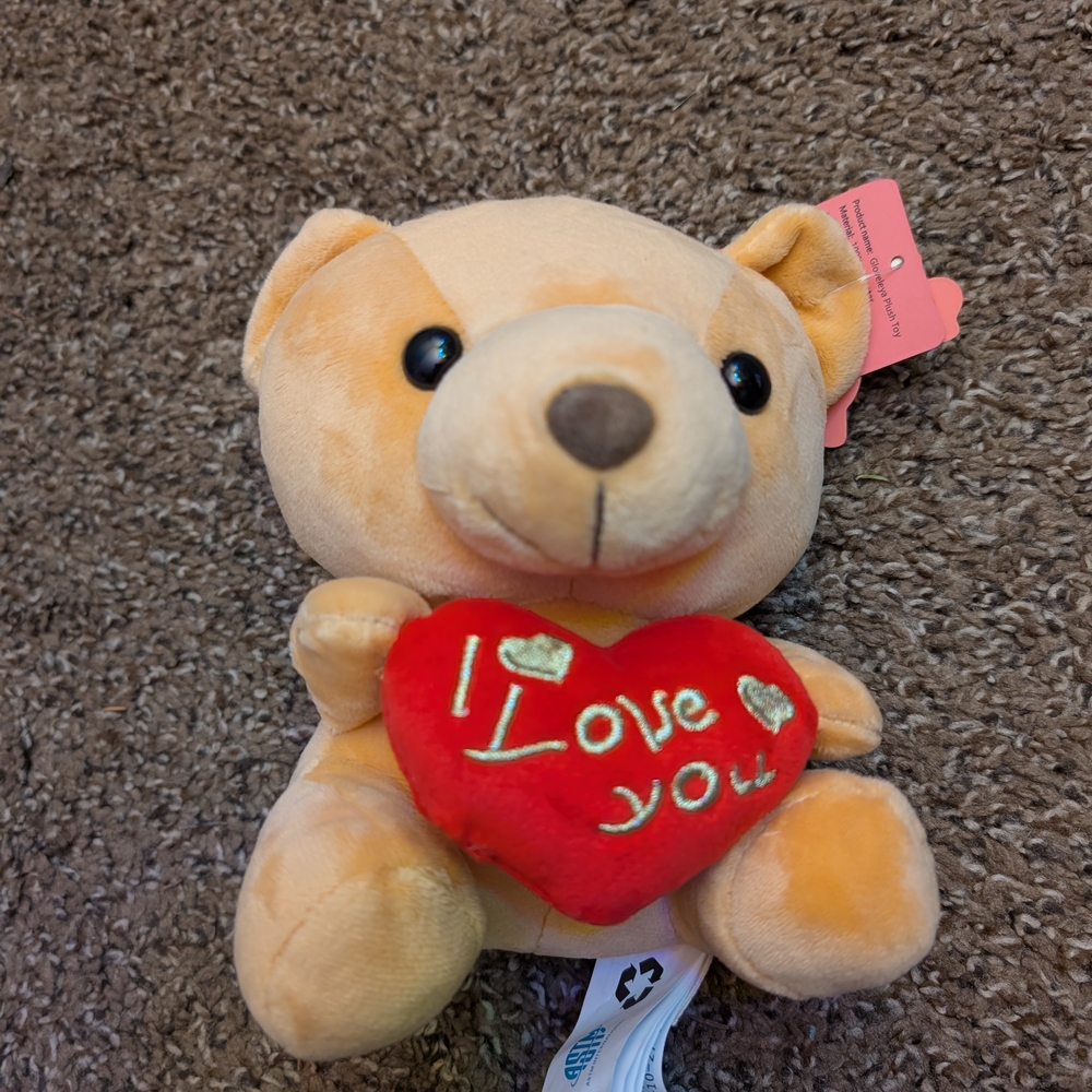 Plush Teddy Bear with Red Heart
